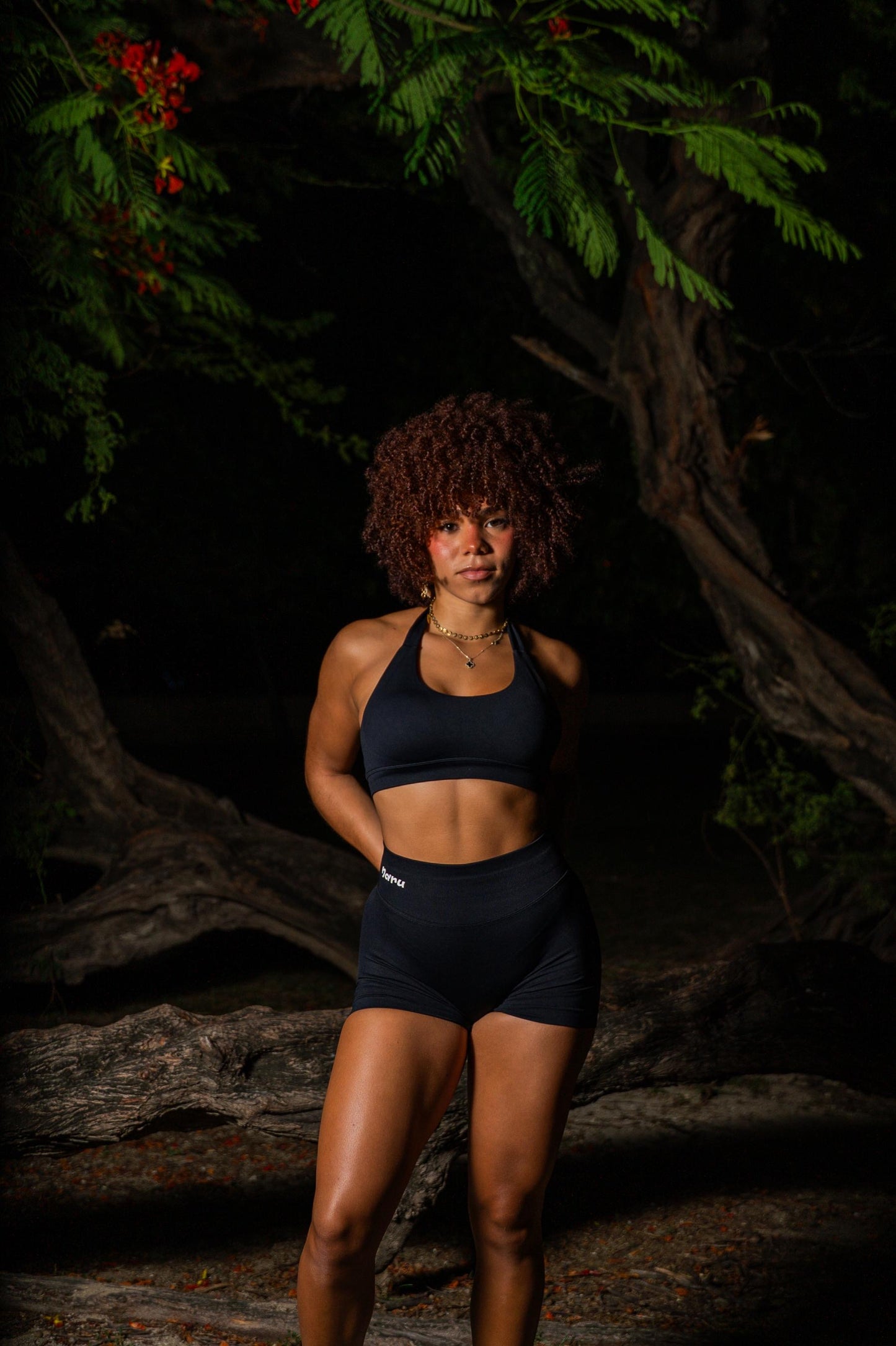 Fierce Set